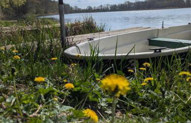 Ferienhaus am See mit Ruderboot - Photo 48