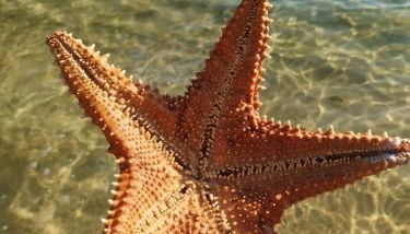 Flat coração de Angra - Foto 5