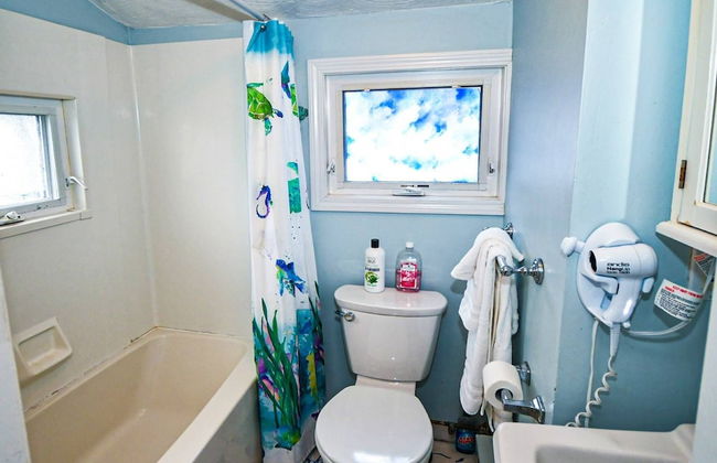 Baby Love Shack - Foto 37