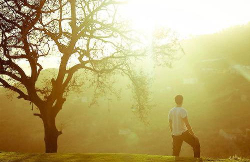 Agriturismo La Forestaria - Foto 59