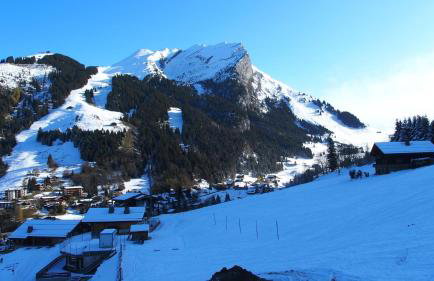 Chalet des joux - Foto 27