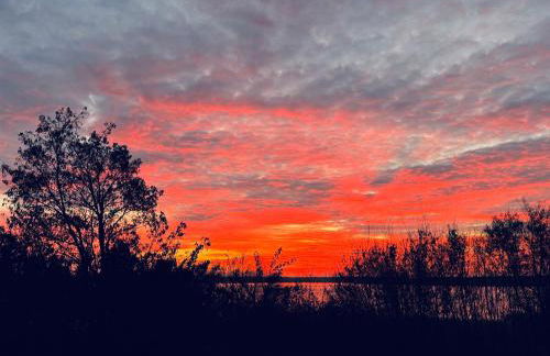 8 Personen Ferienhaus ,,Seegelblick" am Goitzschesee, erste Reihe am Strand mit Sauna, Whirlpool, Kamin, Wallbox & SUP - Foto 74