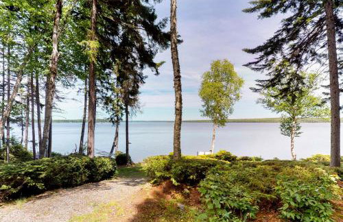 Perfect as a Picture - Foto 34