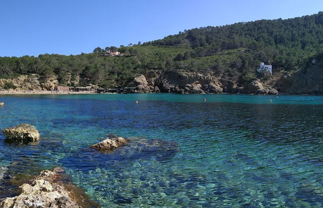 Agroturismo Sa Vinya d'en Palerm - Foto 46