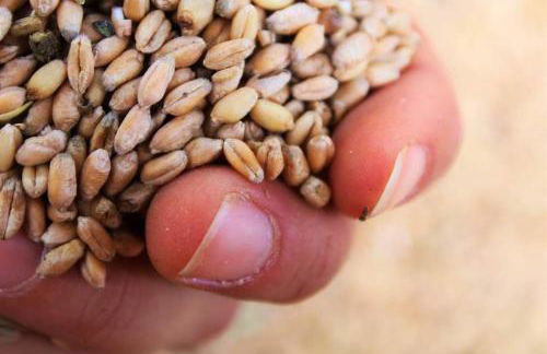 Agriturismo PEDROSOLA - Photo 54