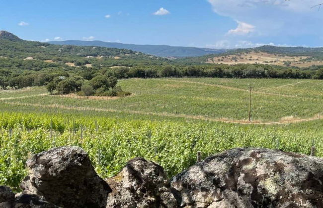 Visita à vinícola Locanda Murales com degustação - Foto 9