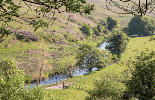 The Old Thatch - Foto 34