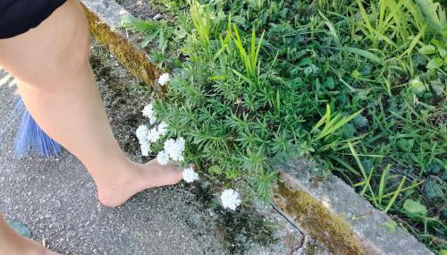 Casinha Ponte Nova - Foto 3