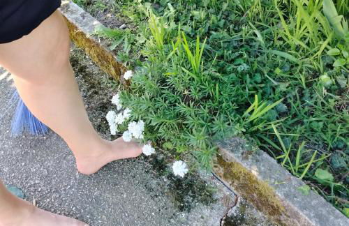 Casinha Ponte Nova - Photo 3