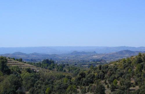 Foïna dels Fontanals - Foto 26