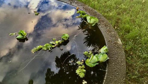 Casa Às Seis - Photo 2