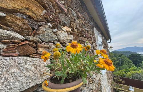 Casa da Avó Quina - Seixas - Foto 9