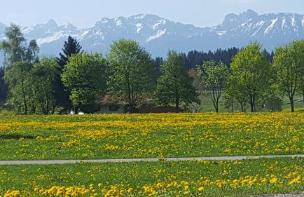 Ferienapartment Wanderpause - Foto 31