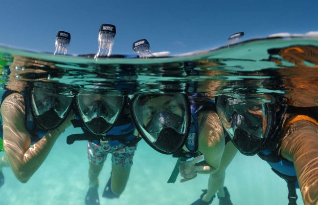 Xel-Há Natural Park Day Trip - Foto 3