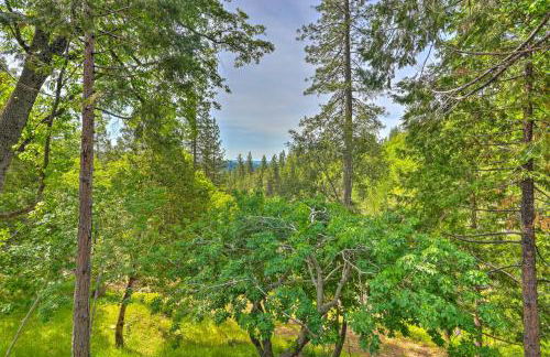 10 Acres with Stunning Views Apple Hill Home! - Foto 33