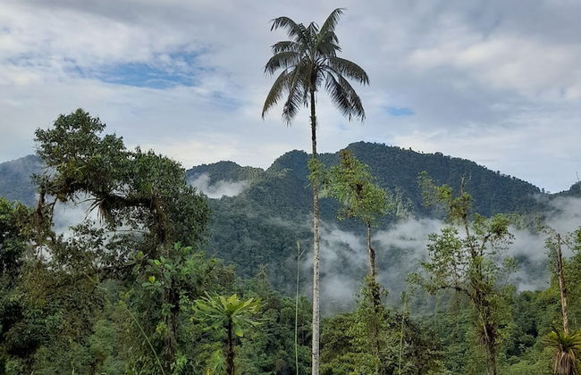 Sendero de las aves - Foto 22