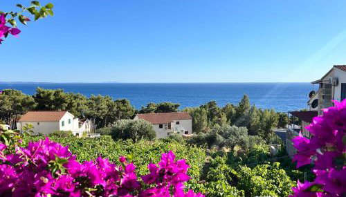 Apartmani "Nikola" Seaview - Ivan Dolac, Hvar - Foto 5