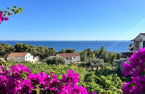 Apartmani "Nikola" Seaview - Ivan Dolac, Hvar - Foto 5