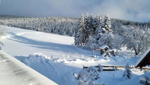 Landhaus Black Forest - Foto 3, Garden