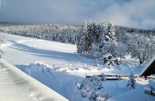 Landhaus Black Forest - Foto 3