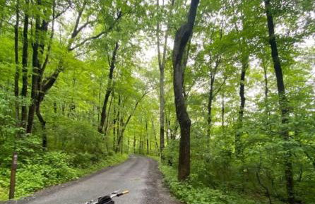 Woodside Cabin in Delaware Water Gap - Foto 39