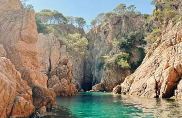 Más Figueres - Foto 62