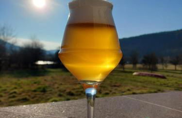 Gästezimmer - Ferienwohnung 1 - Brauhaus Dürr - Foto 14