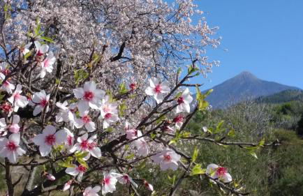 Suite Bufadero - Foto 28