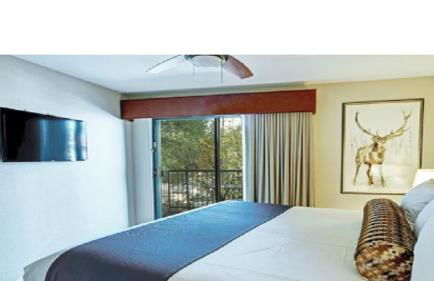 Beautiful Hotel in Durango 1BD - Foto 15