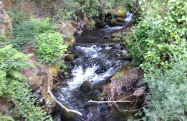 Casa Sanabresa - Foto 15