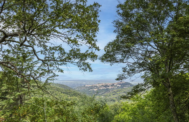 Fiordaliso - Foto 48