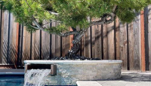 Redwood Oasis, Grove and Nook - Foto 5