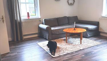 Ellis-Ferienwohnung-Erzgebirge - Foto 5