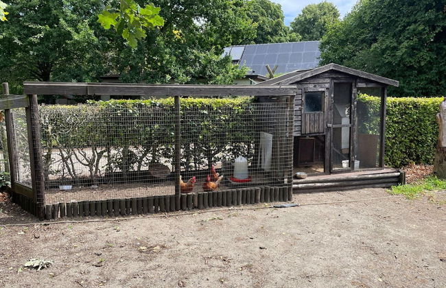 Uden Chalet With Scenic Terrace - Photo 26