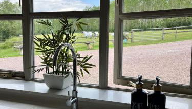 LODGE Nuthatch - Foto 4