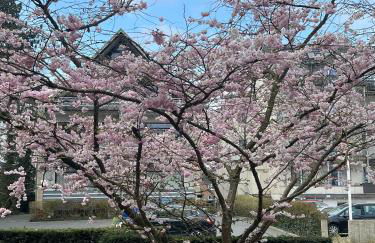 Dünenhaus Garten - Photo 18