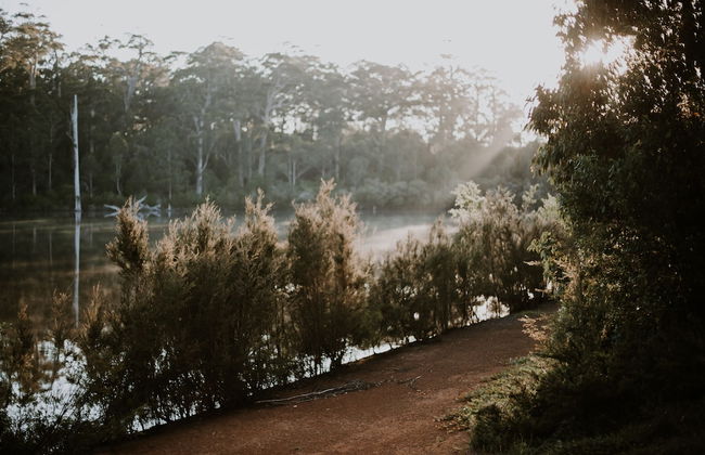 Silkwood Estate - Photo 17