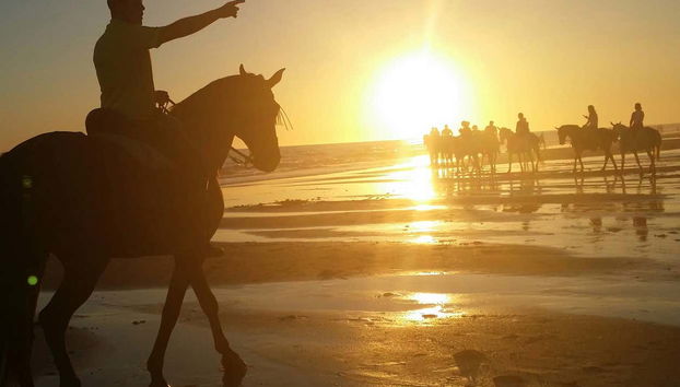 Doñana National Park Sunset Horse Ride - Photo 2, Enjoying the horse ride through Doñana