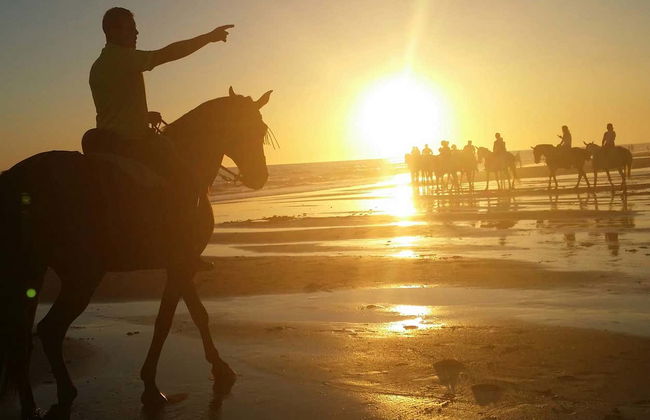 Doñana National Park Sunset Horse Ride - Photo 1