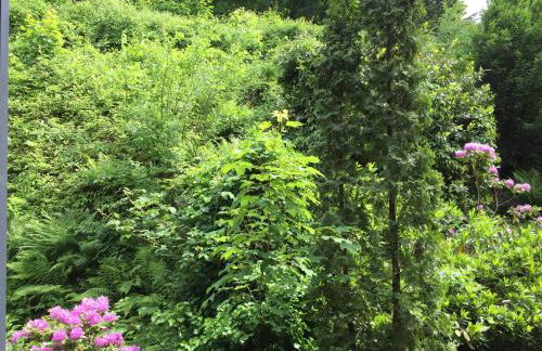 Apartment - zentrumsnah, eigener Parkplatz und großer Balkon ins Grüne - Foto 37