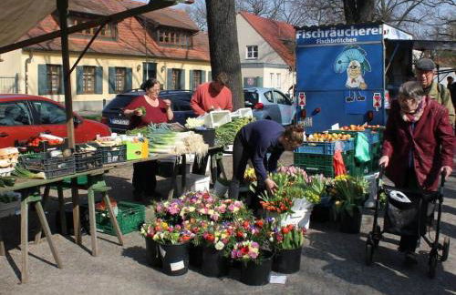 Old Carpentry Shop - Foto 17