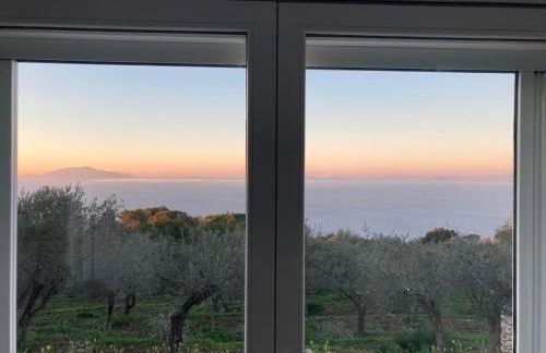 “CapriOleum” esclusive place - Foto 32