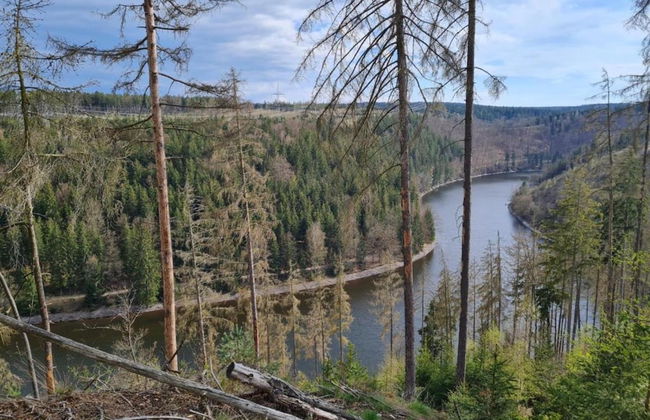 Quaint Apartment in Bergk With Garden - Foto 33