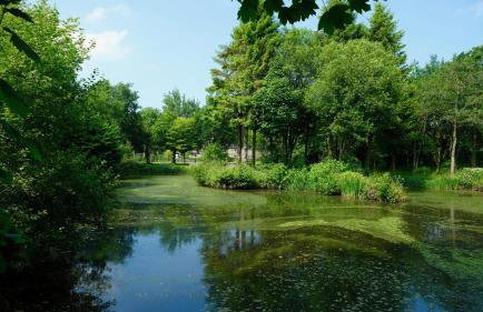 Brookhouse Grange - Foto 34