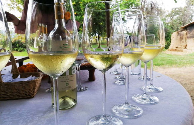 Tour de Tarija al completo - Foto 5