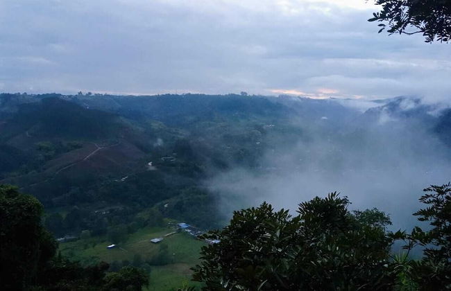 Hakuna Matata Glamping Timon - Photo 14