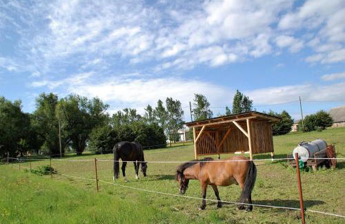 Ferienhäuser Hainichhöhe - Foto 7
