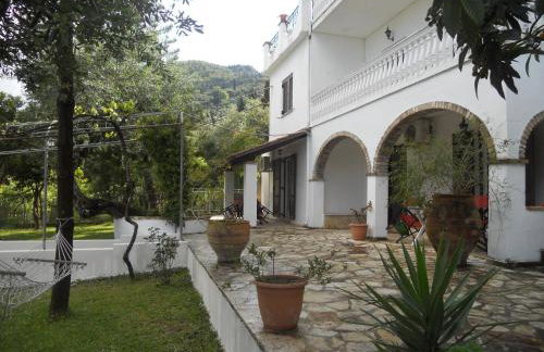 Gina Studios - Foto 21