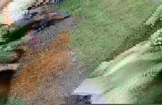 Welllife Hotels & Restaurant - Photo 12