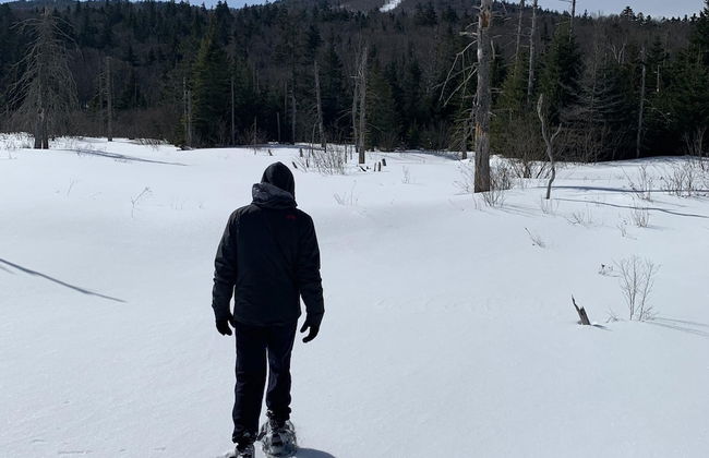 B1 NEW Awesome Tiny Home With A C Mountain Views Minutes to Skiing Hiking Attractions - Foto 28